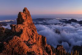 Pico de las Nieves in the evening light by Markus Lange