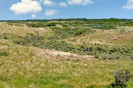 Wassereinzugsgebiet der Dünen PWN Castricum von eric van der eijk