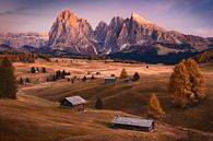 Alpe di Siusi dans les Dolomites en automne par Patrick van Os Aperçu