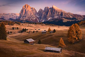 Alpe di Siusi in de dolomieten tijdens de herfst