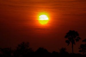Okavango-Sonnenuntergang