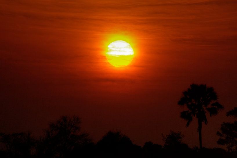 Okavango-Sonnenuntergang von BL Photography