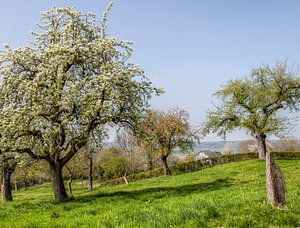 Geultal bei Cottessen