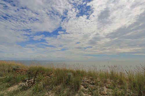 Waddenzee Ameland
