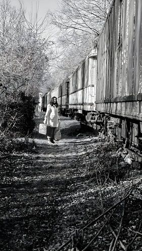 A new beginning chosen out of love, fleeing from war... A bitter past!