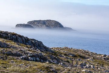 Côte sauvage de Terre-Neuve