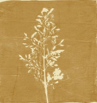 Monoprint van een grasspriet in okergeel van Dina Dankers