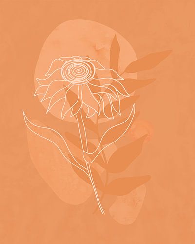 Minimalist illustration of a sunflower