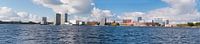 Skyline Almere panorama van Brian Morgan thumbnail