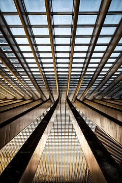 Lijnen van station Luik-Guillemins van Mark Bolijn