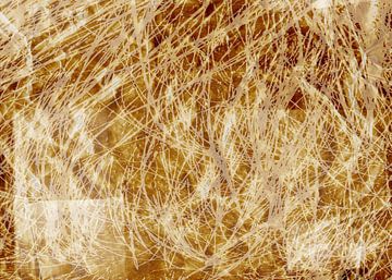 Grasgolven in goud. Botanisch abstract patroon. van Dina Dankers