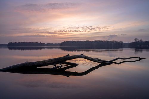 Sechs-Seen-Platte, Duisburg, Nordrhein-Westfalen, Deutschland von Alexander Ludwig