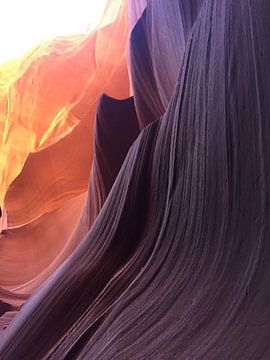 Lichtval canyon van Samantha Enoob