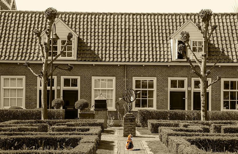 Dutch by richard admiraal