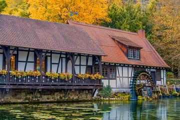 Baden-Württemberg : De historische hamermolen in zijn herfstjas van Michael Nägele