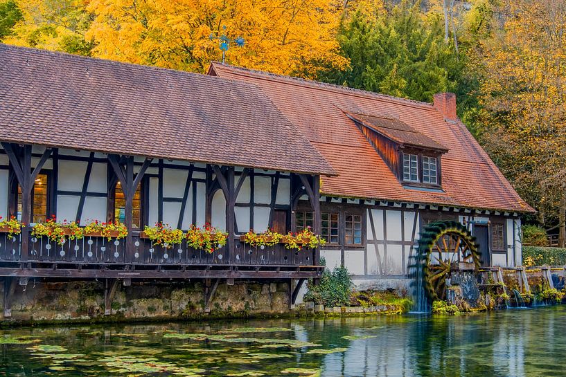 Baden-Württemberg : De historische hamermolen in zijn herfstjas van Photoart-Naegele