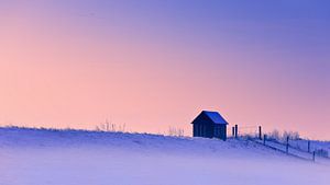 L'hiver à Groningue, Pays-Bas sur Henk Meijer Photography