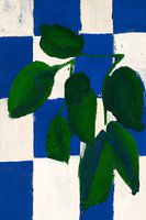 Checkered Greenery