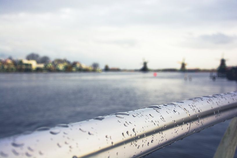 Een alternatief uitzicht over de Zaan van Zaankanteropavontuur