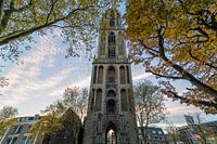Herfstige DomToren