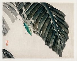 Japanse kunst