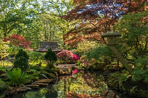 Japanese Garden von Marco de Graaff