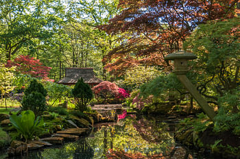 Japanese Garden