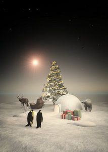Unmögliche Szenen zu Weihnachten