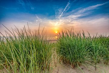 Coucher de soleil de l'herbe de la plage sur Alex Hiemstra