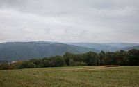 National Park Eifel in Duitsland. by Angelo de Bruin thumbnail