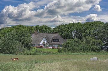 traditionele boerderij genaamd Haubarg, schiereiland Eiderstedt, Nordfriesland, Duitsland van Peter Eckert