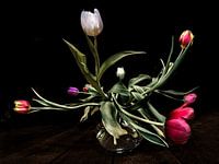 Tulpen