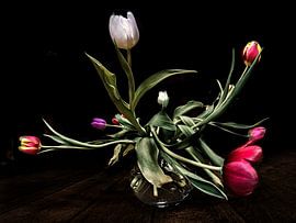 Tulpen by Els Baltjes