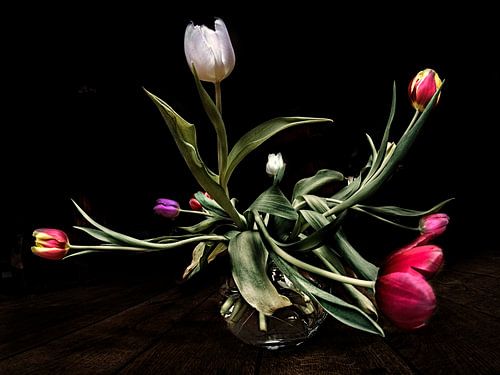 Tulpen van Els Baltjes