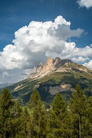 Rosengarten im Sommer von Leo Schindzielorz