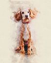 English Cocker Puppy by Pictura Designs thumbnail