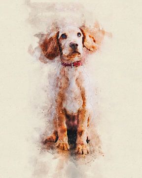 Chiot Cocker anglais sur Pictura Designs