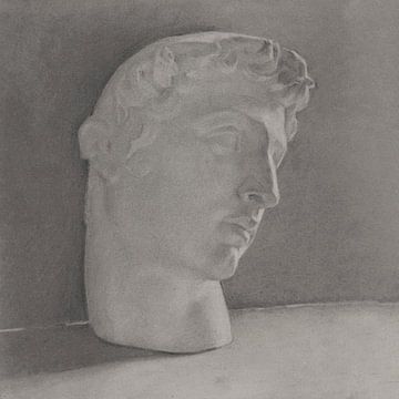 Studie eines römischen Kopfes von Affect Fotografie