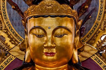 Boeddha in een tempel in de Cameron Highlands in Maleisie van Jeroen Langeveld, MrLangeveldPhoto