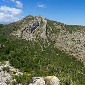 Groen berglandschap, top van het Castell d'Aixa van Adriana Mueller