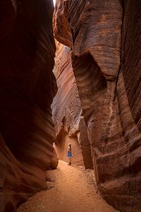 Random Canyon