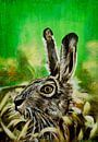 Hasen porträt von Liesbeth Serlie Miniaturansicht
