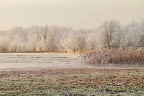 Glace noire et brouillard