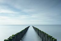 Golfbreker aan de kust van Zeeland