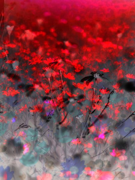 The Fields I by Zand