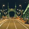 Vrijheidsbrug in Boedapest van Studio Keserű