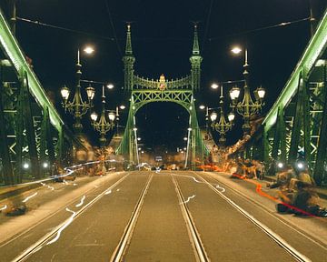 Vrijheidsbrug in Boedapest van Keserű Collective