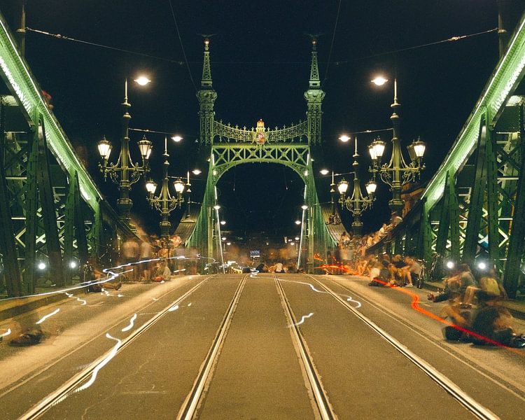 Freiheitsbrücke in Budapest von Studio Keserű
