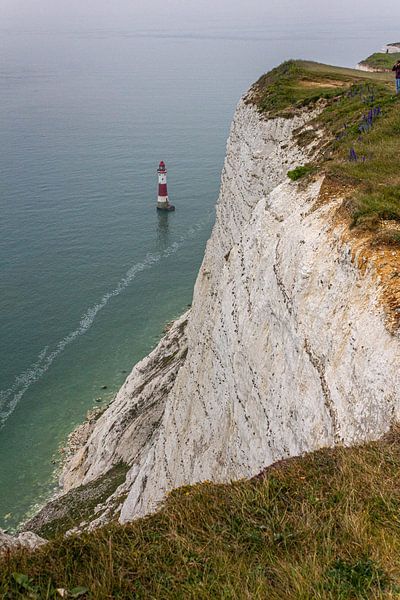 Jurassic Coast by ton vogels