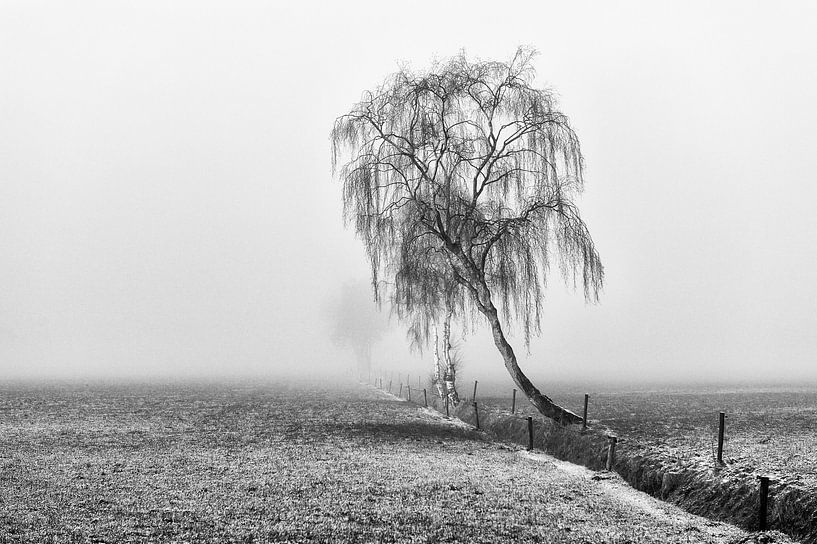 Lost in the mist! von Gerard van der Wal